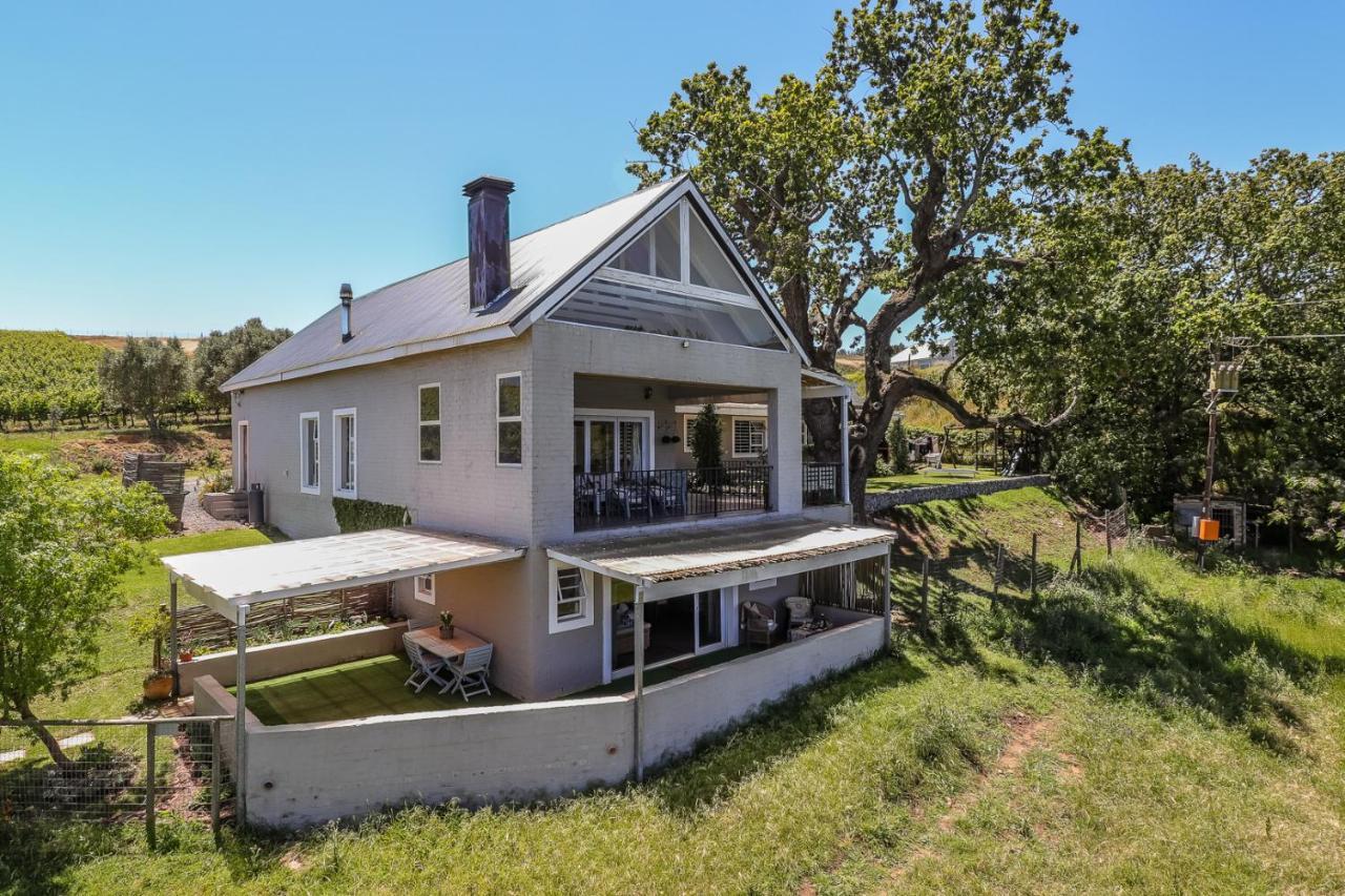 Alojamento de Turismo Rural Wildlife Retreat On A Wine-farm