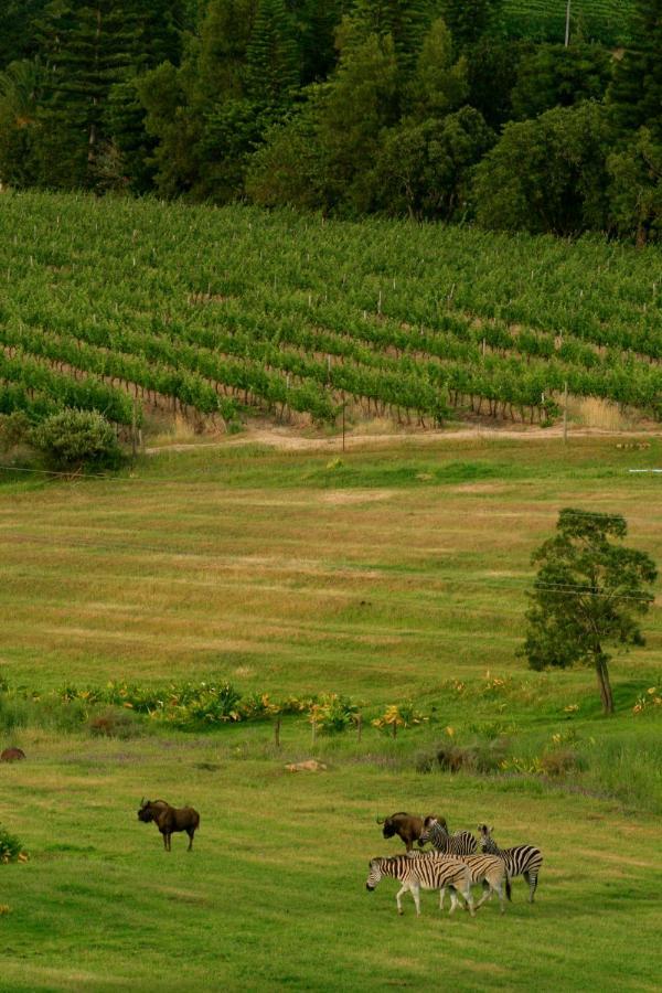 Wildlife Retreat On A Wine-farm Farm stay