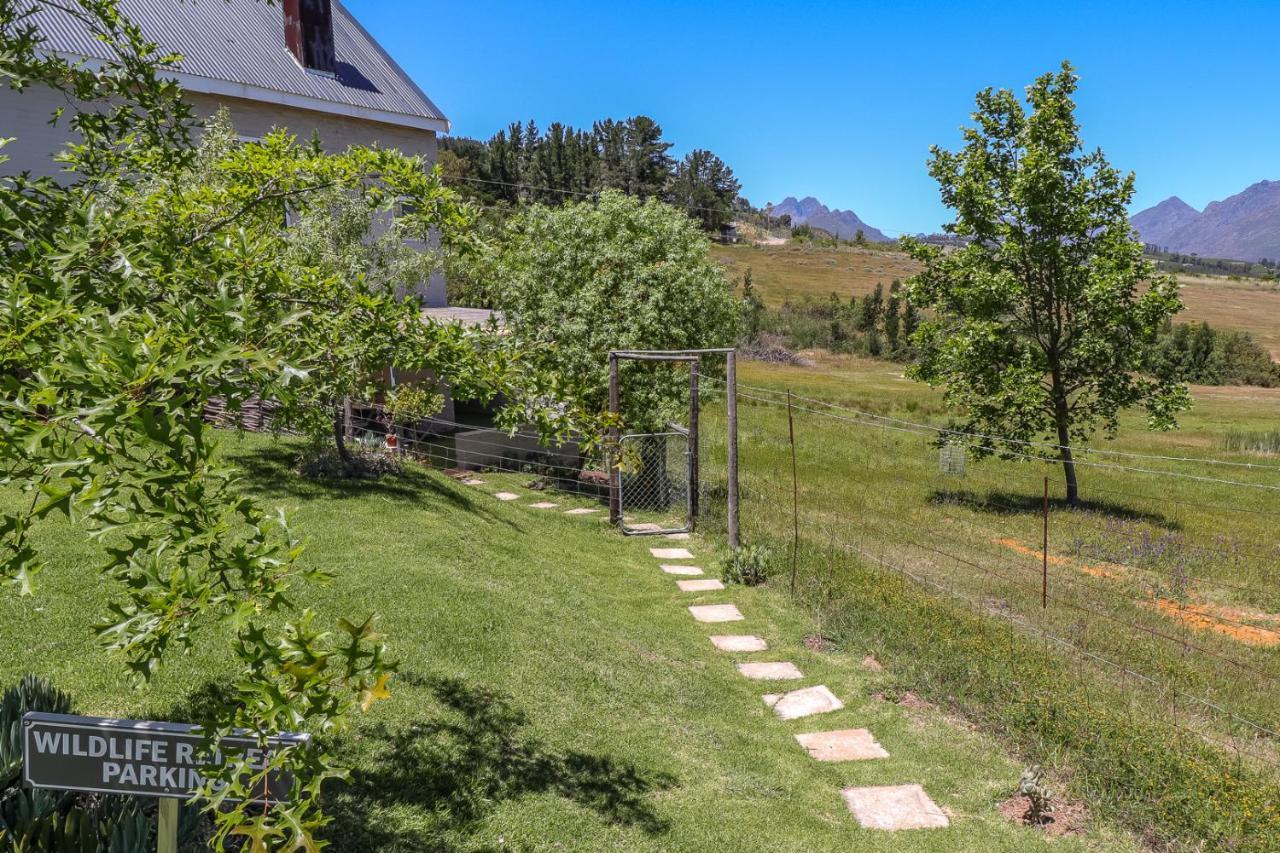 Wildlife Retreat On A Wine-farm * Stellenbosch