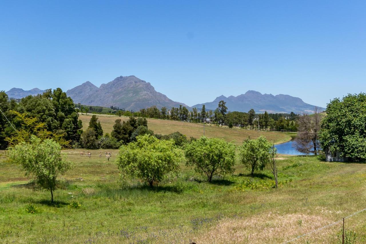 Alojamento de Turismo Rural Wildlife Retreat On A Wine-farm Stellenbosch