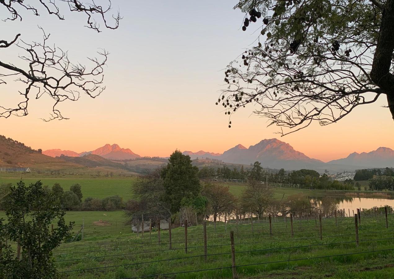 Farm stay Wildlife Retreat On A Wine-farm